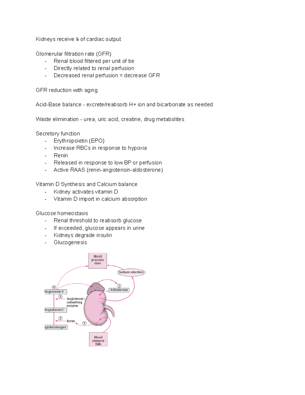Patho exam 2 material - Kidneys receive ⅕ of cardiac output Glomerular ...