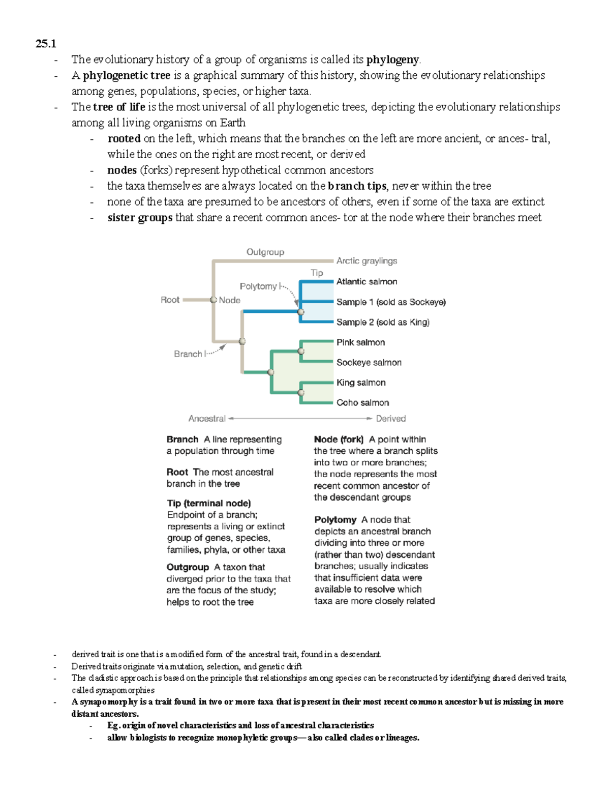 Biology Textbook Chapter 25 Notes - 25. The evolutionary history of a ...