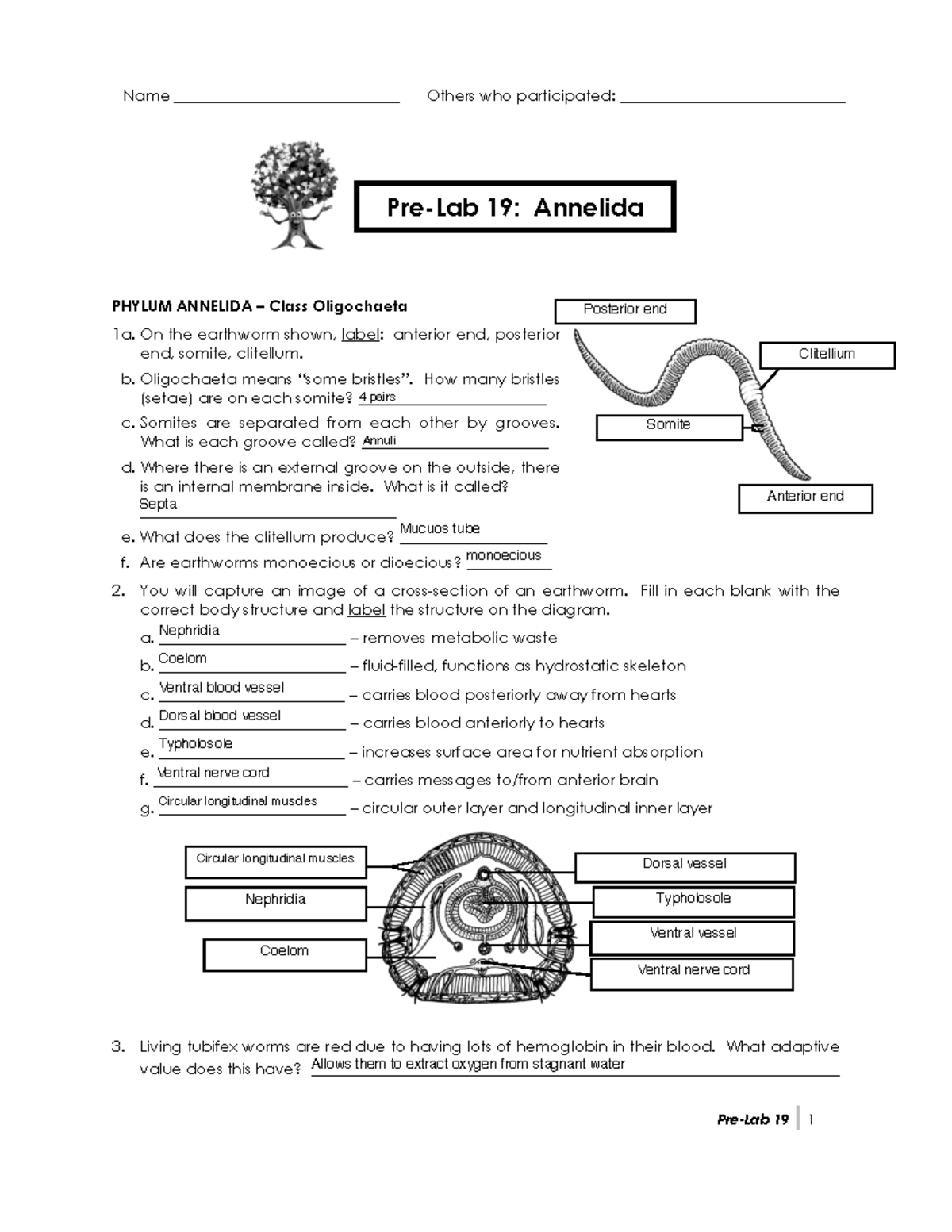 pre lab assignment 19a question 2