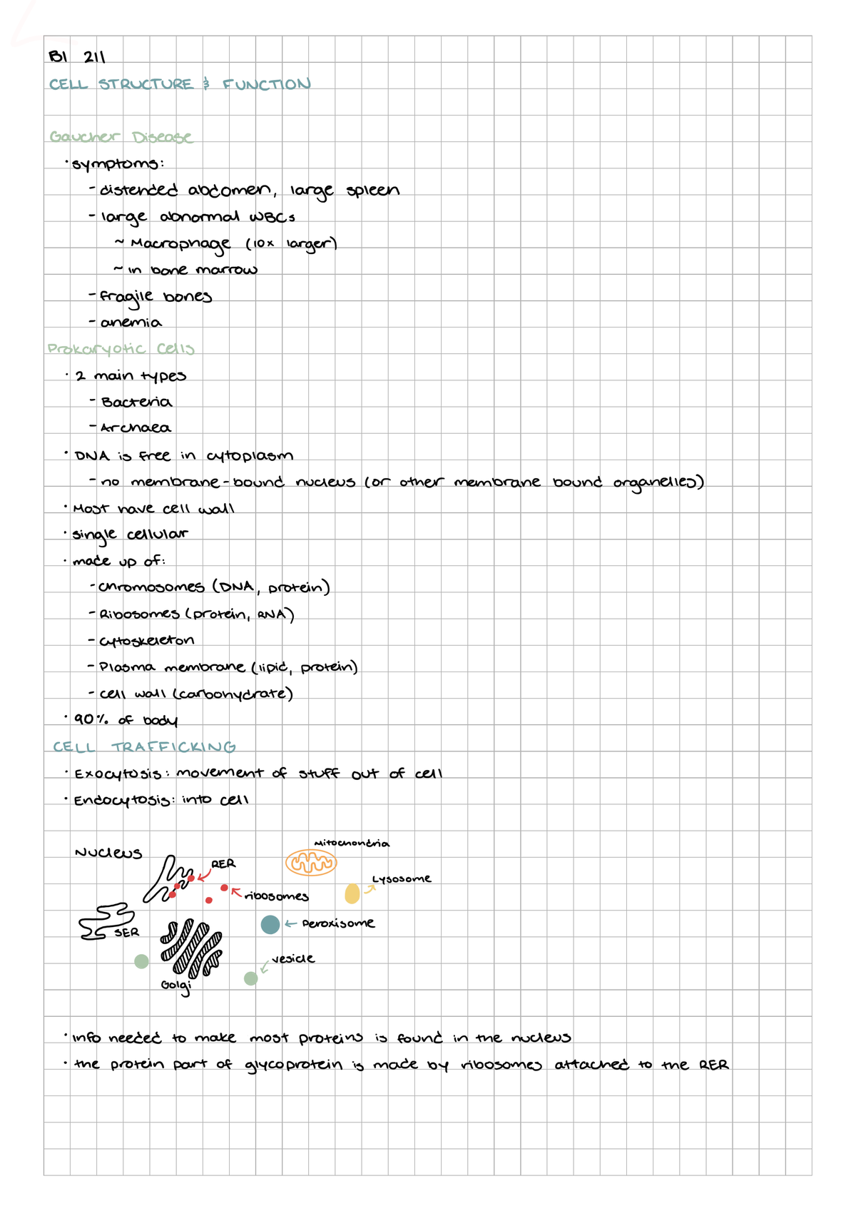 Bi 211 ~ Cell Structure And Function - Bi 211 - Studocu