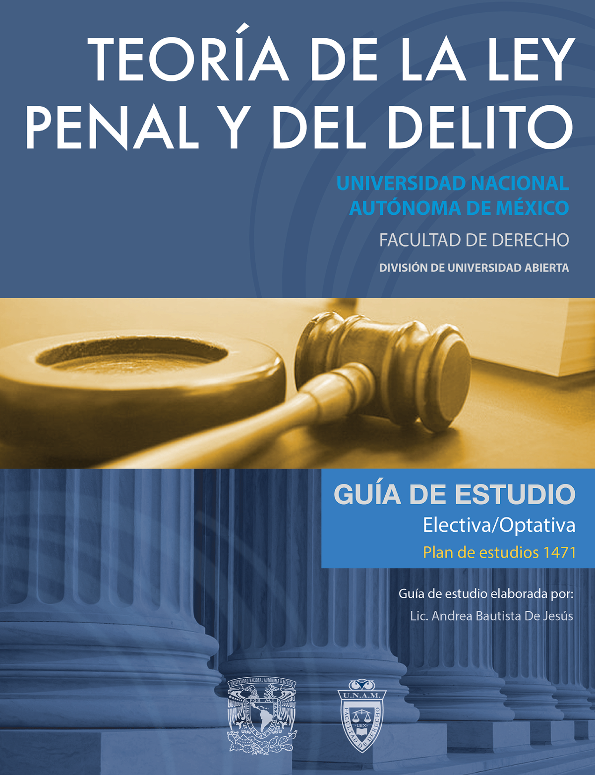 Teoria Ley Penal Delito 2 Semestre - Guía De Estudio Para La Asignatura ...