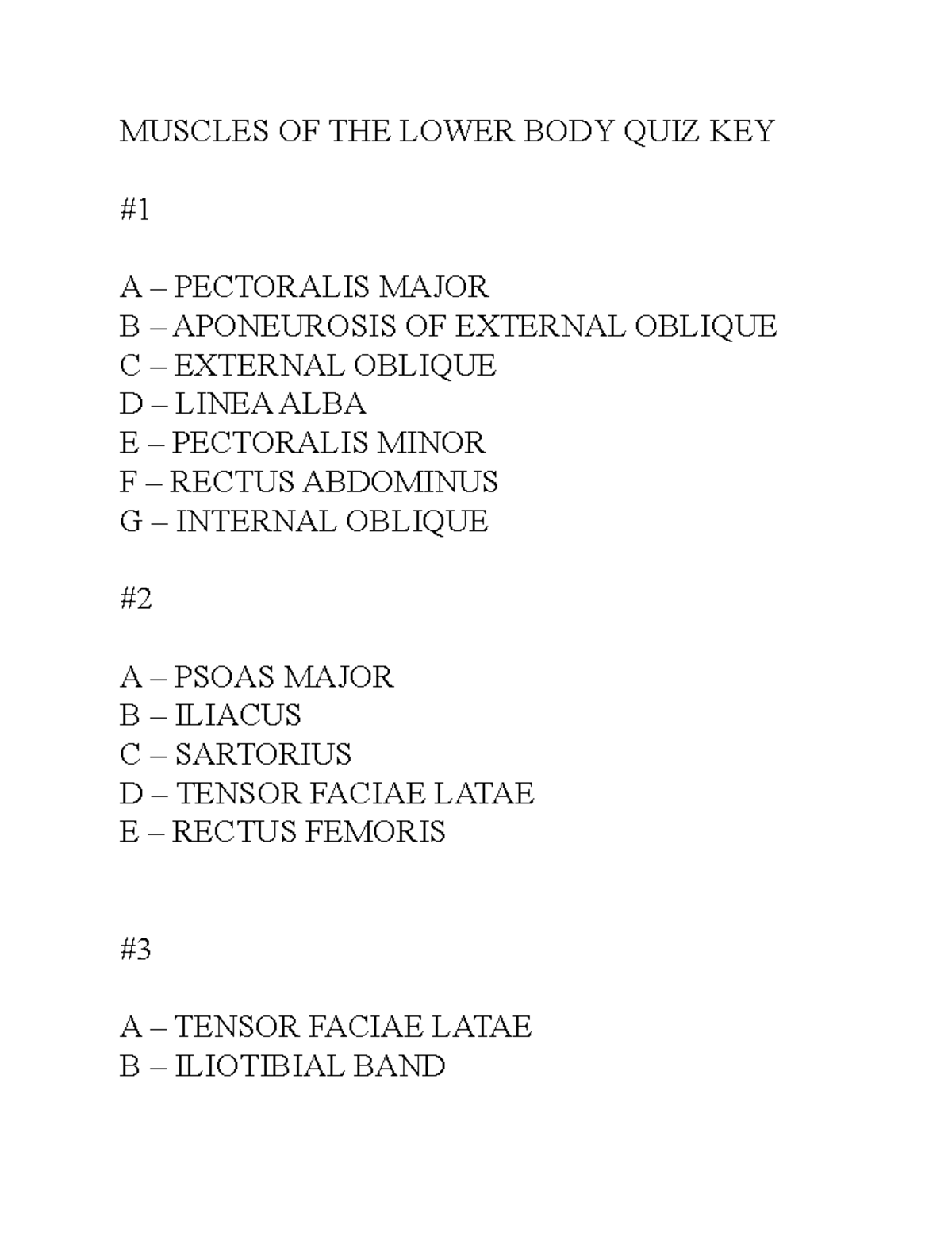 PSIO 201: Muscles Lower Quiz Answer Key - MUSCLES OF THE LOWER BODY ...