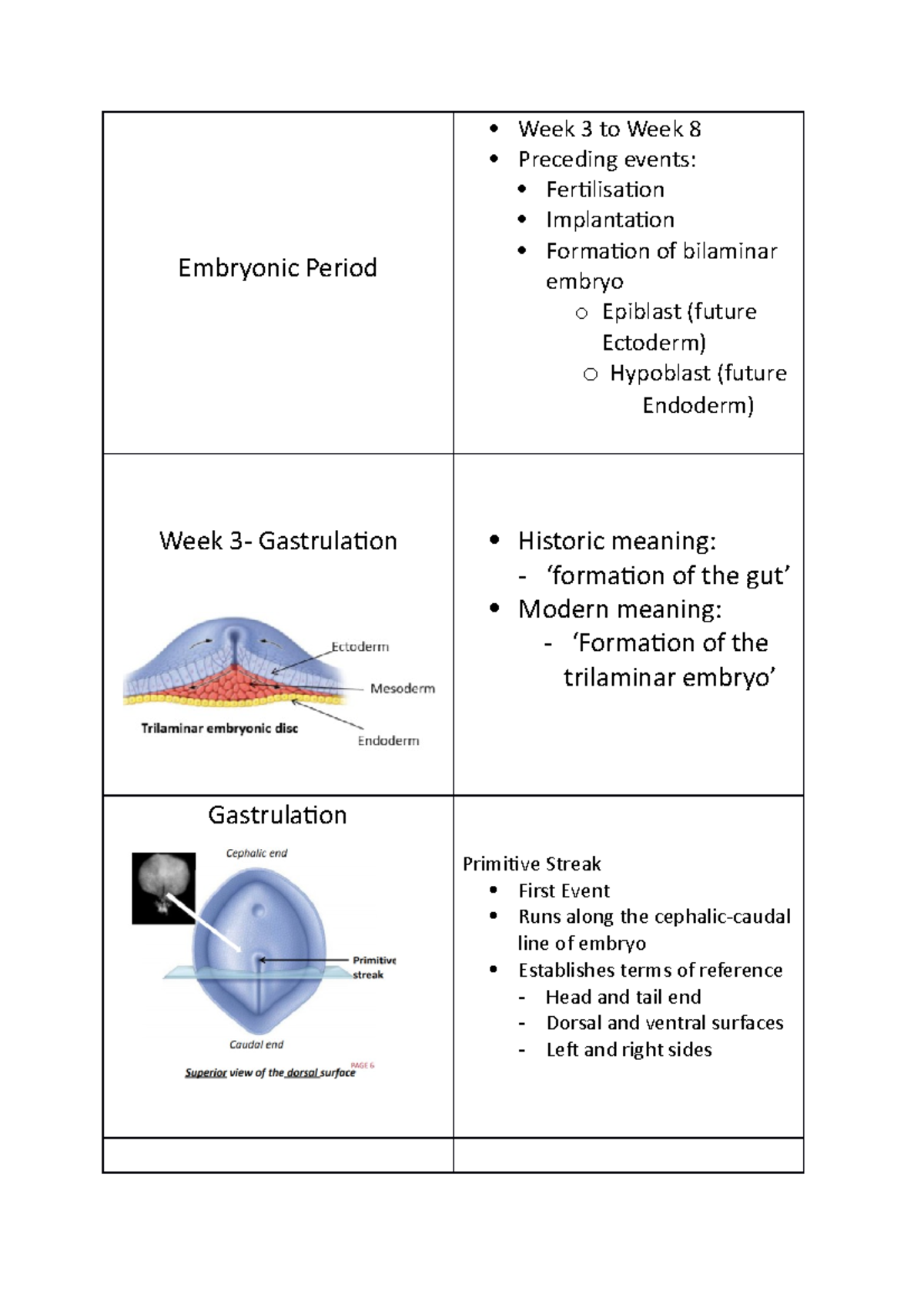 Human Development - Lecture notes Week 2 - Embryonic Period Week 3 ...