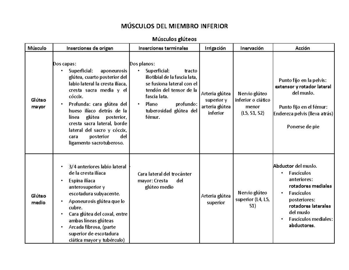 Tabla MÚ Sculos Miembro Inferior 1 - M⁄SCULOS DEL MIEMBRO INFERIOR M ...