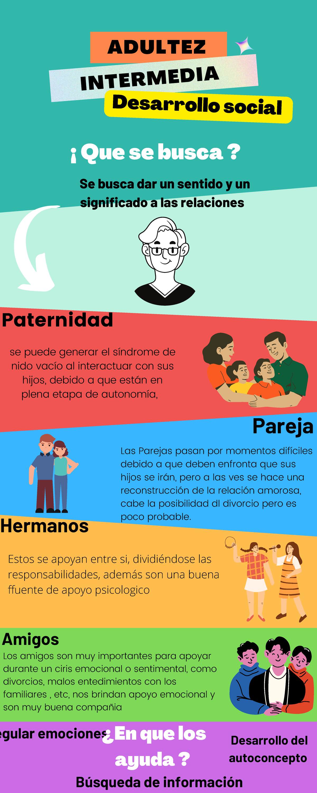Infografia Fases Del Desarrollo En La Adultez - vrogue.co