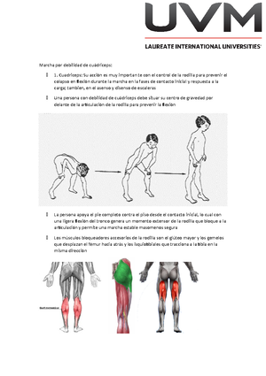 LA Teoria DE LA Compuerta - Neurocognitive Academy - Teoría De La ...