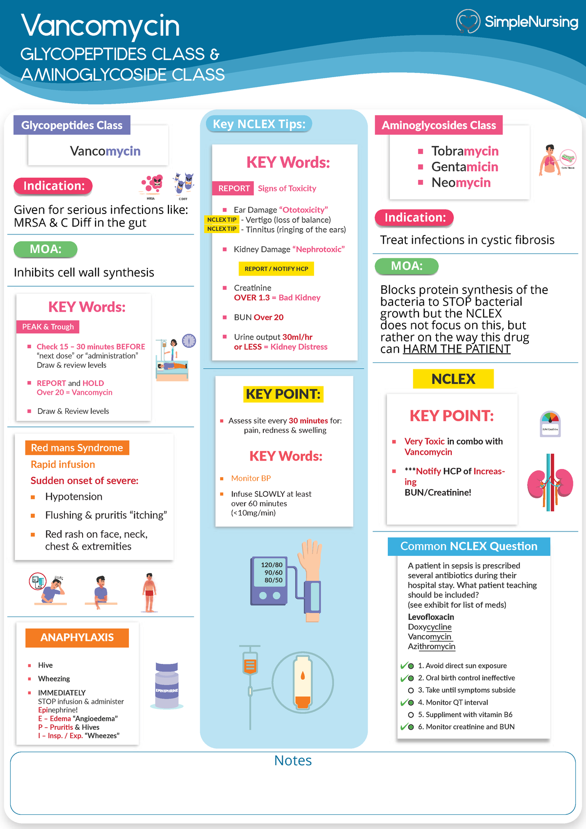 Pharm Antibiotics - Vancomycin Aminoglycosides - Vancomycin 