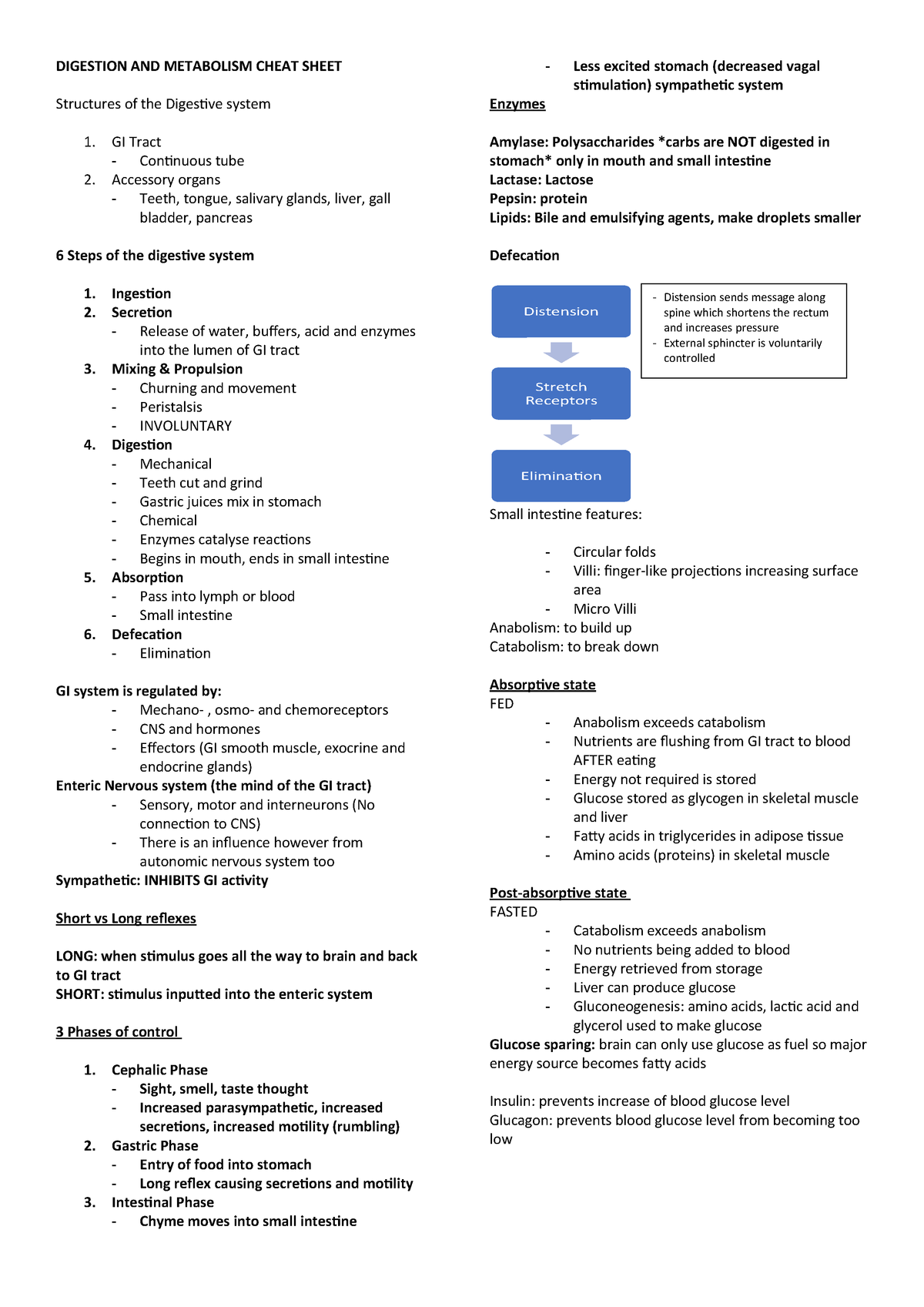 Digestion AND Metabolism Cheat Sheet - Human Biosciences A - StuDocu