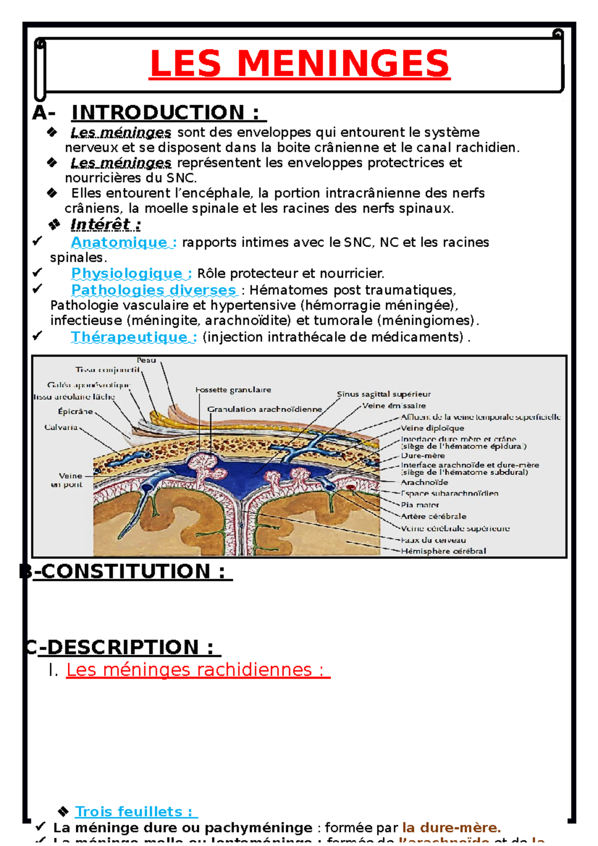 Les meninges merci A INTRODUCTION Les méninges sont des — free download
