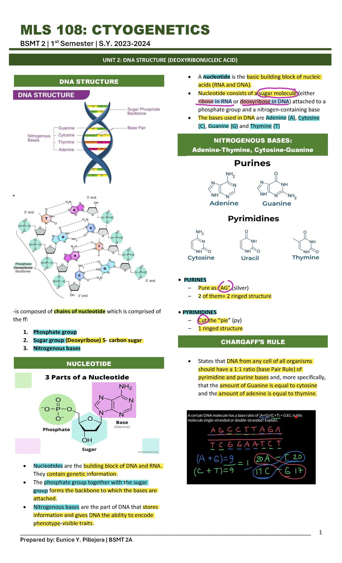 Cyto unit 2 transes - qqqq - MLS 108 : CTYOGENETICS BSMT 2 | 1 st ...