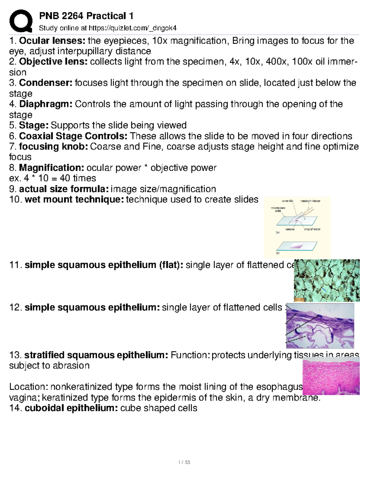 Unknown3 notes Study online at quizlet/_dngok Ocular lenses the eyepieces, 10x
