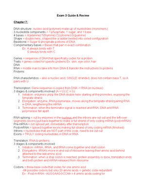 Chapter 7 DNA Structure Gene Function - Chapter 7: DNA Structure & Gene ...