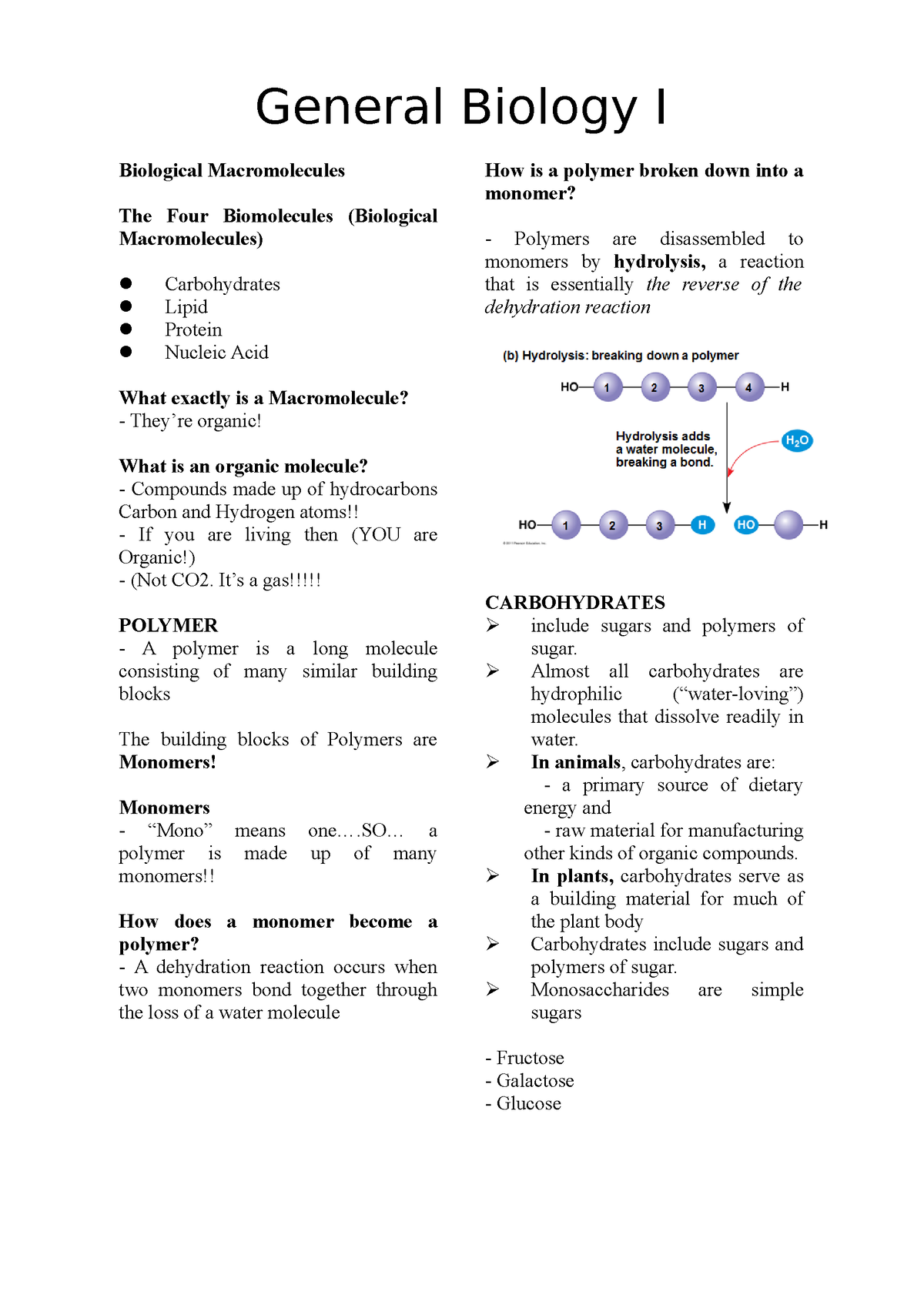 Gen Bio-notes - Biio - Biological Macromolecules The Four Biomolecules ...