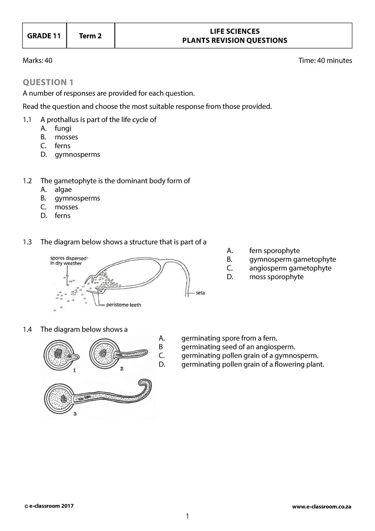 Gr T Ls Eng Plants Revision Questions E Classroom E Classroom Co Grade Term