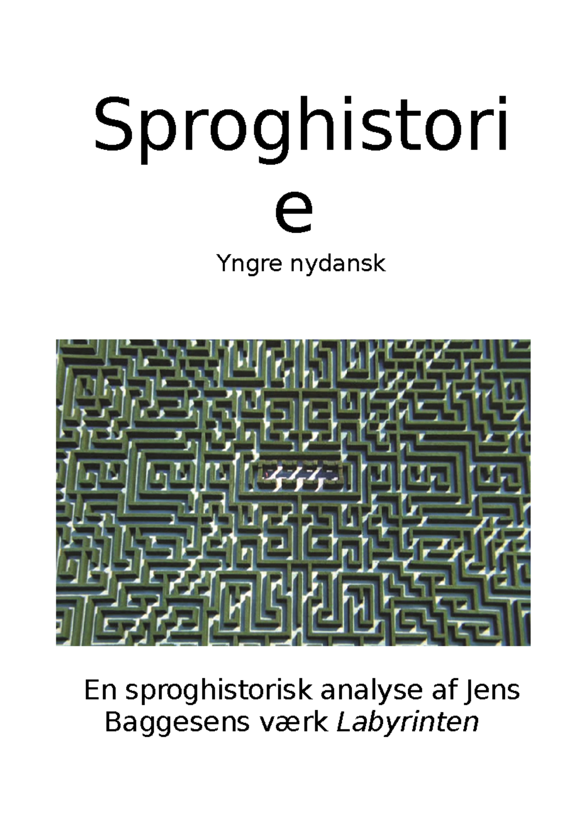 Sproghistorie Eksamen - Sproghistori E Yngre Nydansk En Sproghistorisk ...