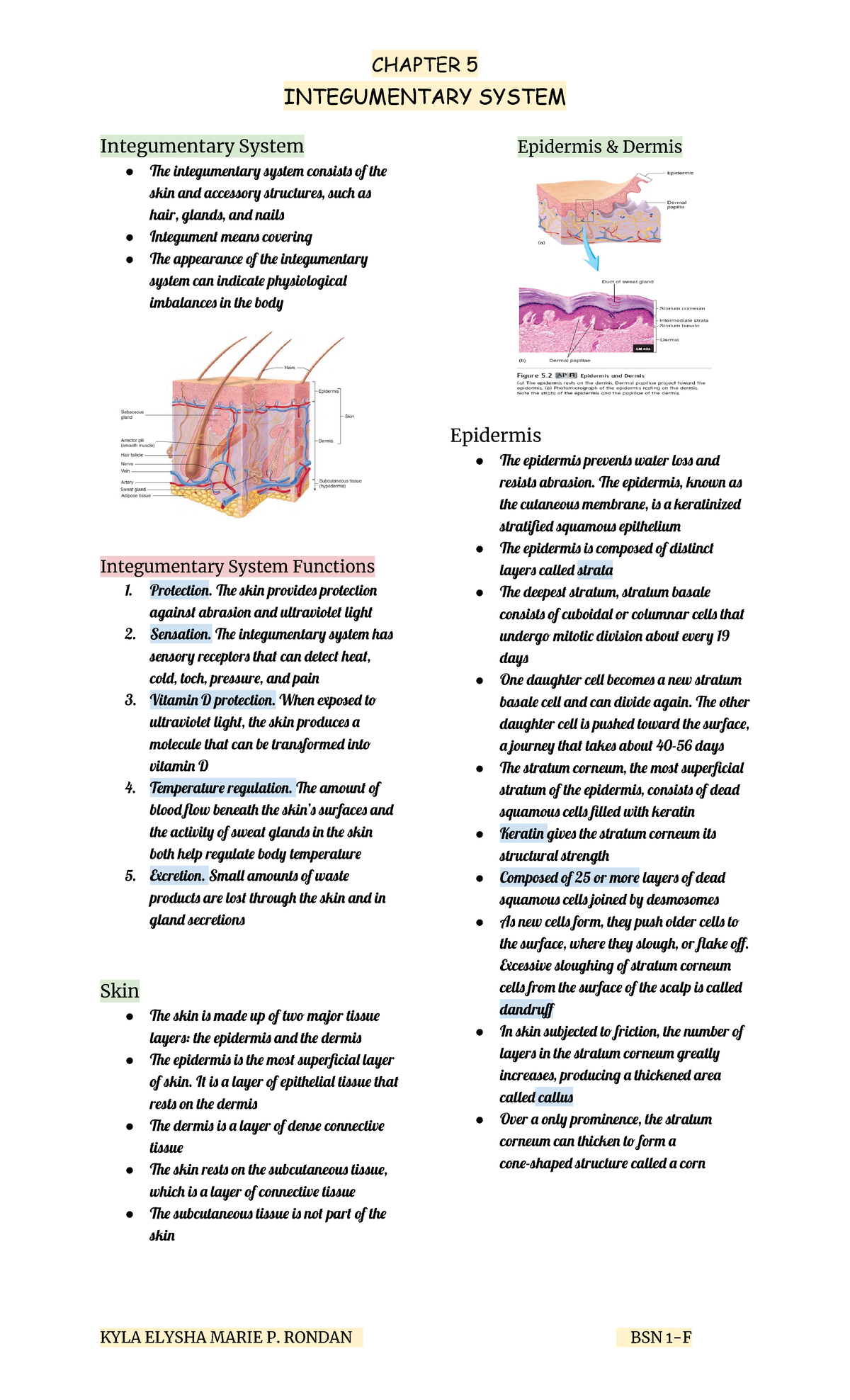 Anaphy Chapter 5 - notes - INTEGUMENTARY SYSTEM Integumentary System ...