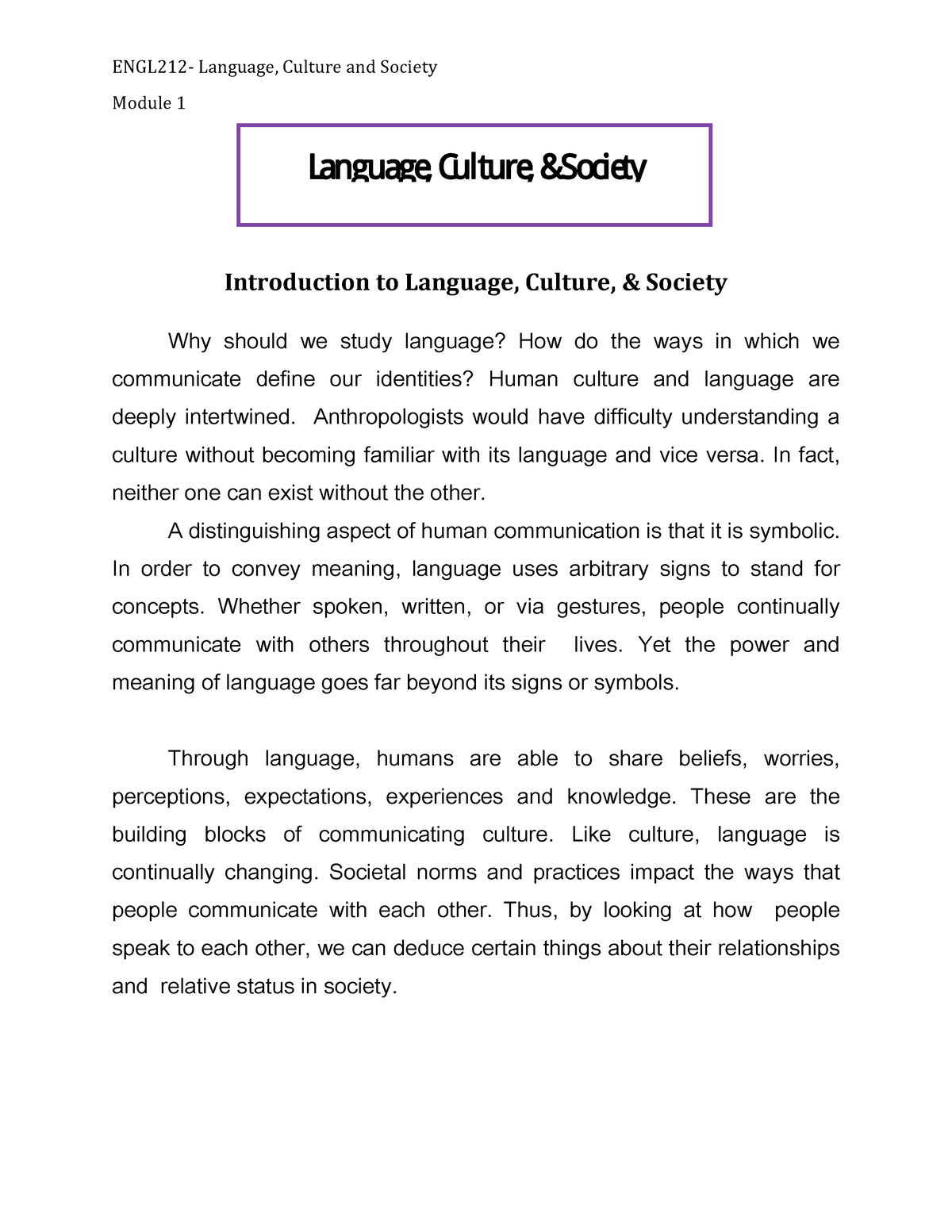 essay about language culture and society