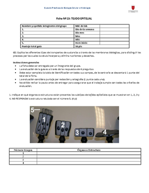Gu%C3%ADa+Ejercicios+Unidad+1+QGO 2023 - Semestre Otoño 2023 1 ...
