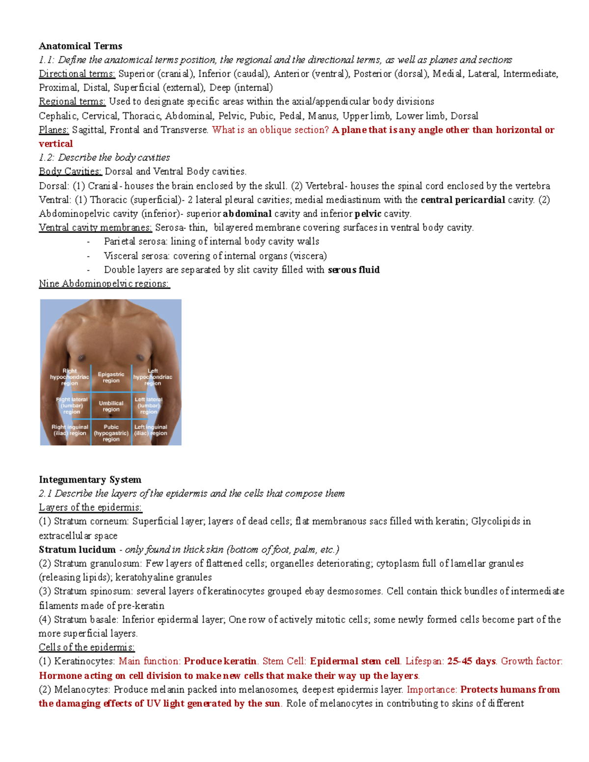 ANP1106 - Anatomical Terms + Integumentary System - Anatomical Terms 1 ...