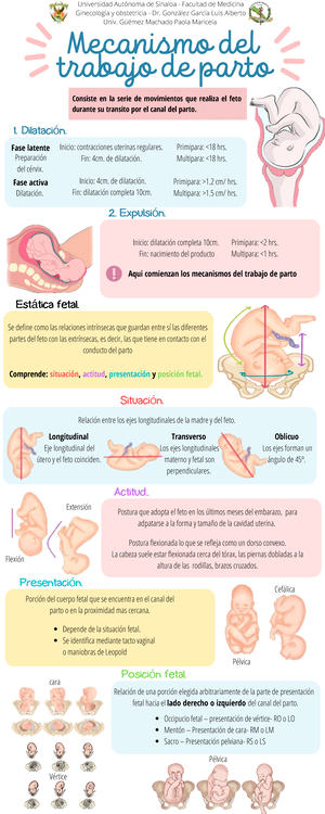 preeclampsia y eclampsia infografia - “síndrome multisistémico de ...