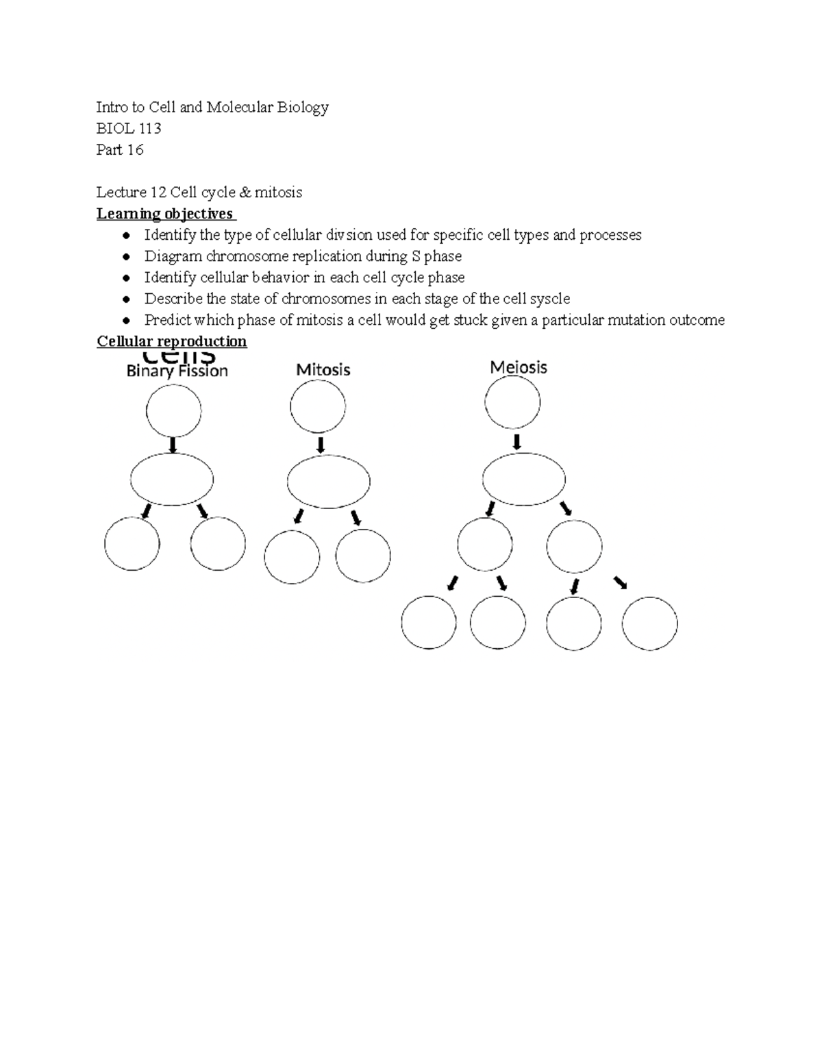 Intro To Cell And Molecular Bio 113 Lecture Notes Part 16 - Dr. Sarah ...