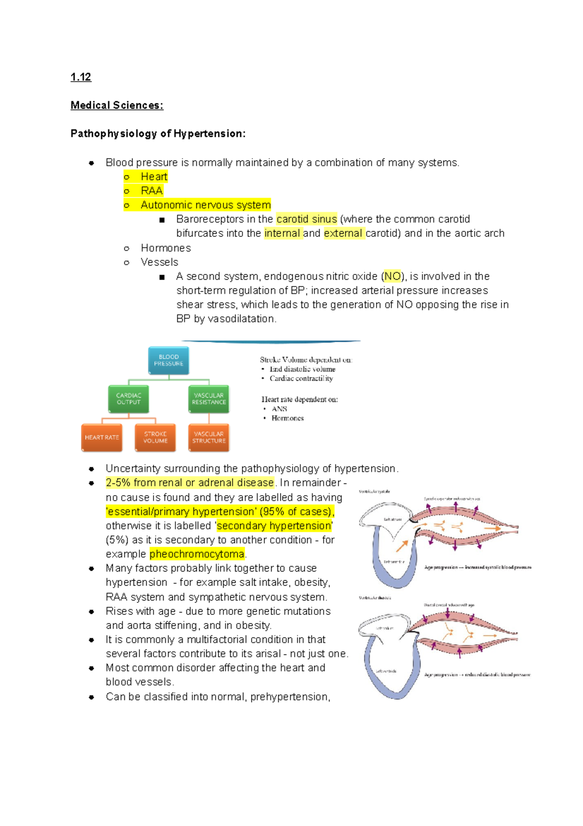 1.12 Notes on Hypertension - 1. Medical Sciences: Pathophysiology of ...