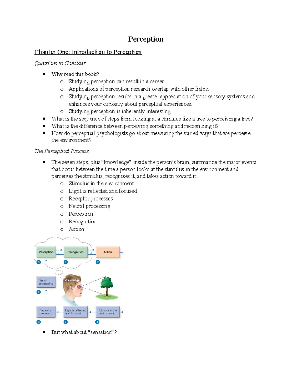 perception essay questions