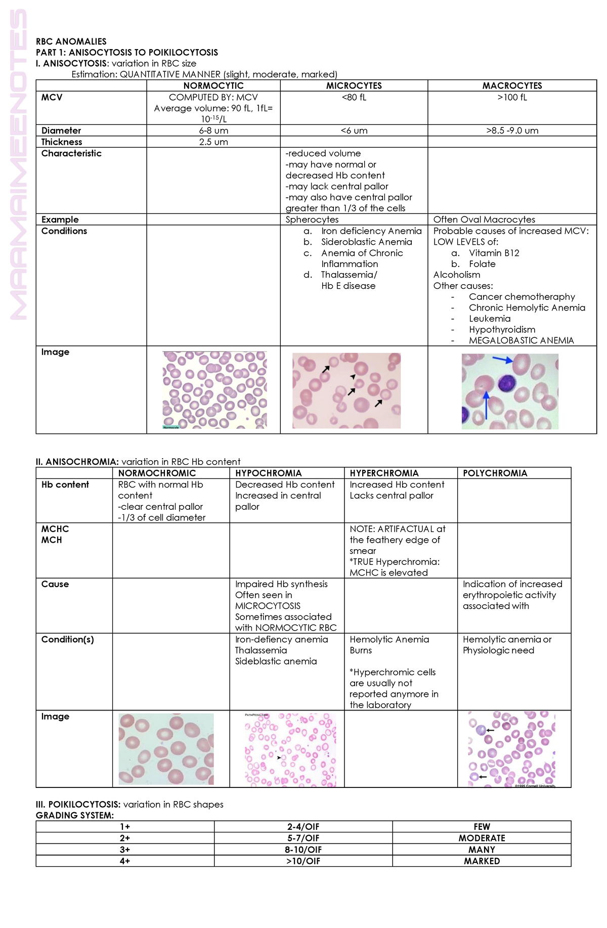 Rbc- Anomaly-1 - Hema - Rbc Anomalies Part 1: Anisocytosis To 