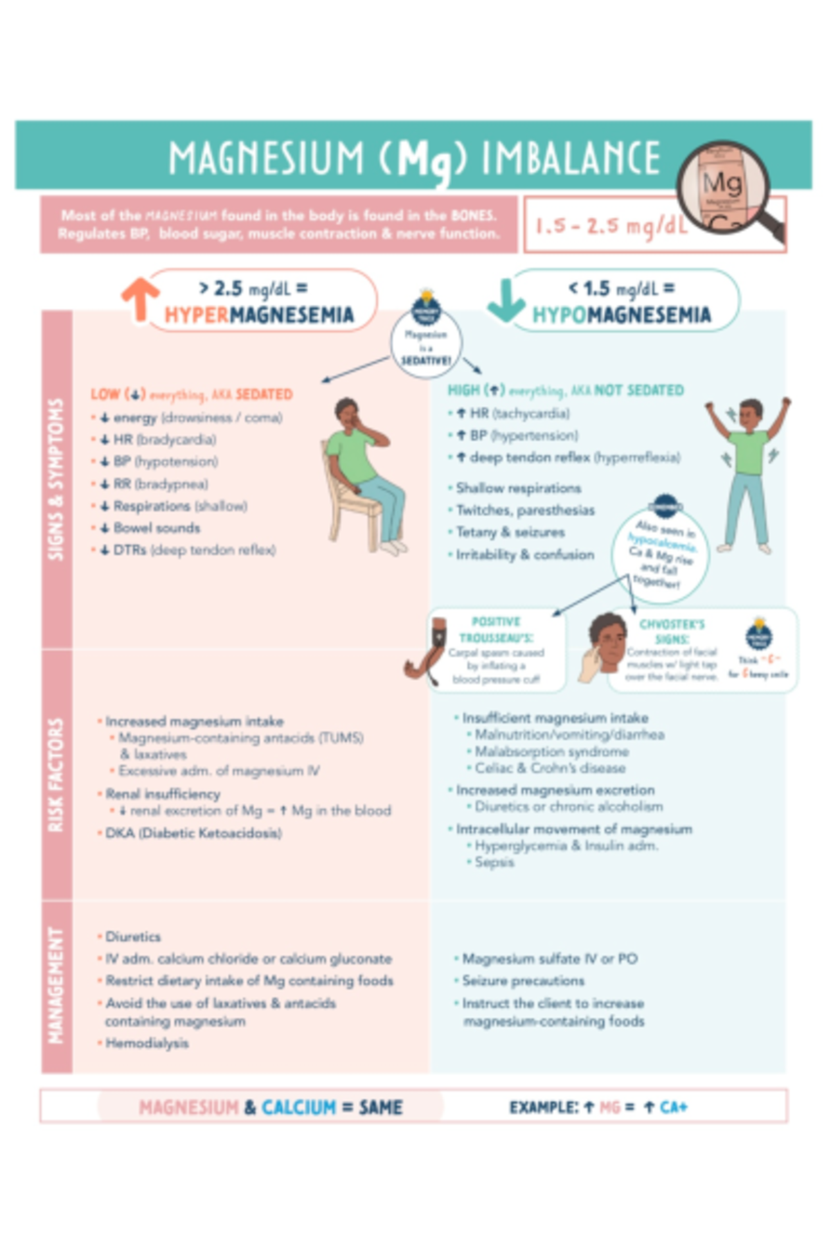 Mg Electrolyte Imbalances NUR 3013 Studocu