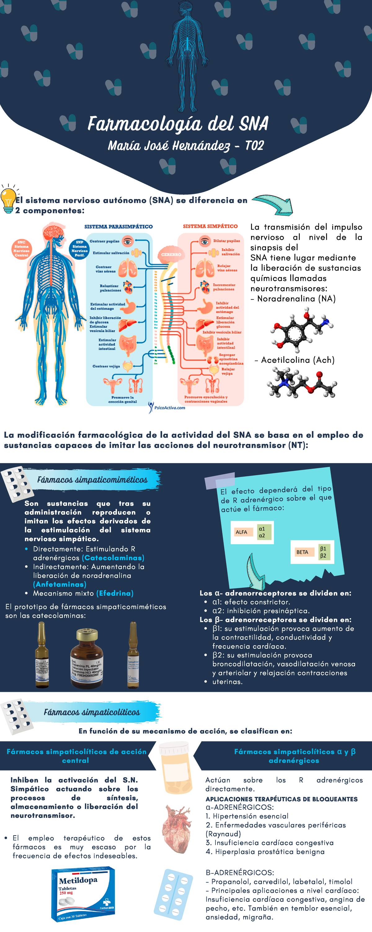 Sistema Nervioso Autónomo-Fármaco. - Farmacología Del SNA El Sistema ...