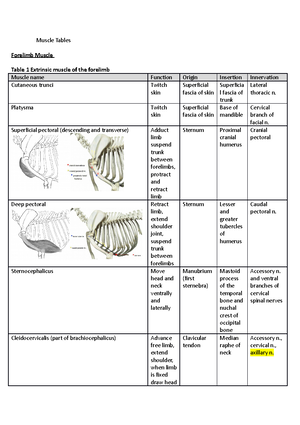 Forelimb Muscles - Forelimb Extrinsic Muscles Muscle Origin Insertion ...