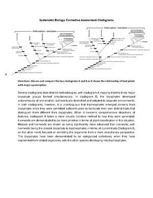 Phylum Echinodermata - NAME: PROGRAM CODE: GROUP NO: DATE: SCORE: Draw ...