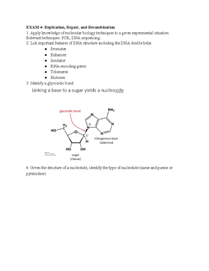 Molecular Biology - QUESTION ANSWER -, 2022: Insulators, DNA loopingE ...