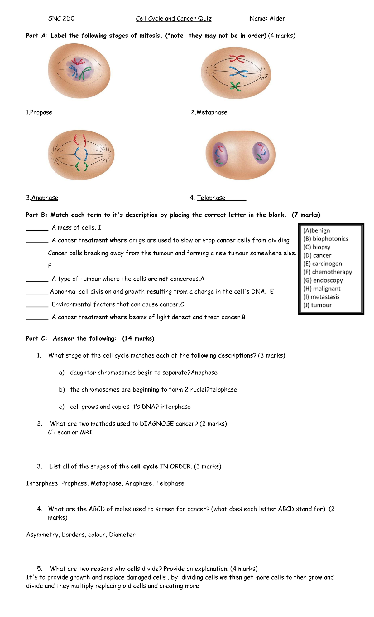 Biology Quiz 1 May 6th - jshdf;kSJHFD - SNC 2D0 Cell Cycle and Cancer ...