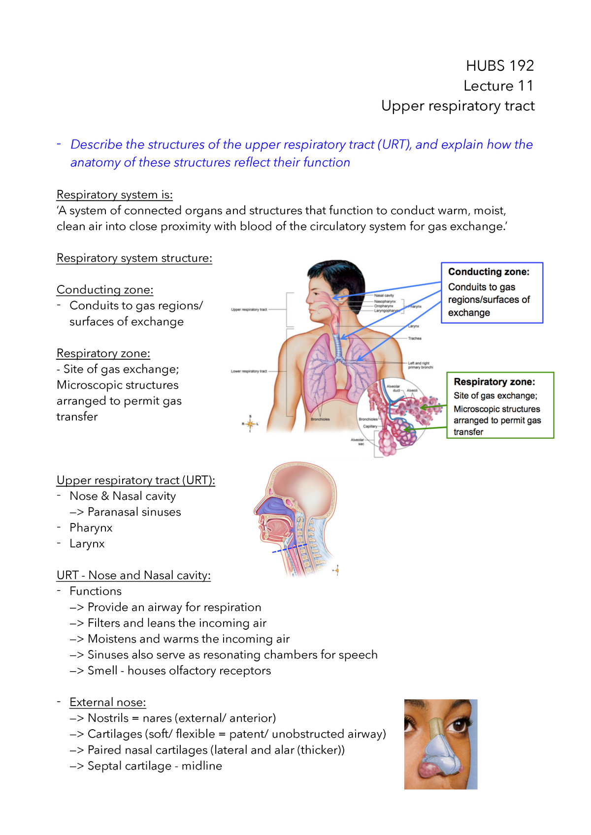 Lecture 11 - Upper respiratory tract - HUBS 192 Lecture 11 Upper ...