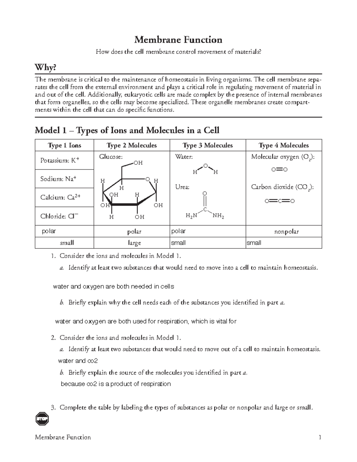 Membrane Function Pogil - Membrane Function 1 Membrane Function How ...