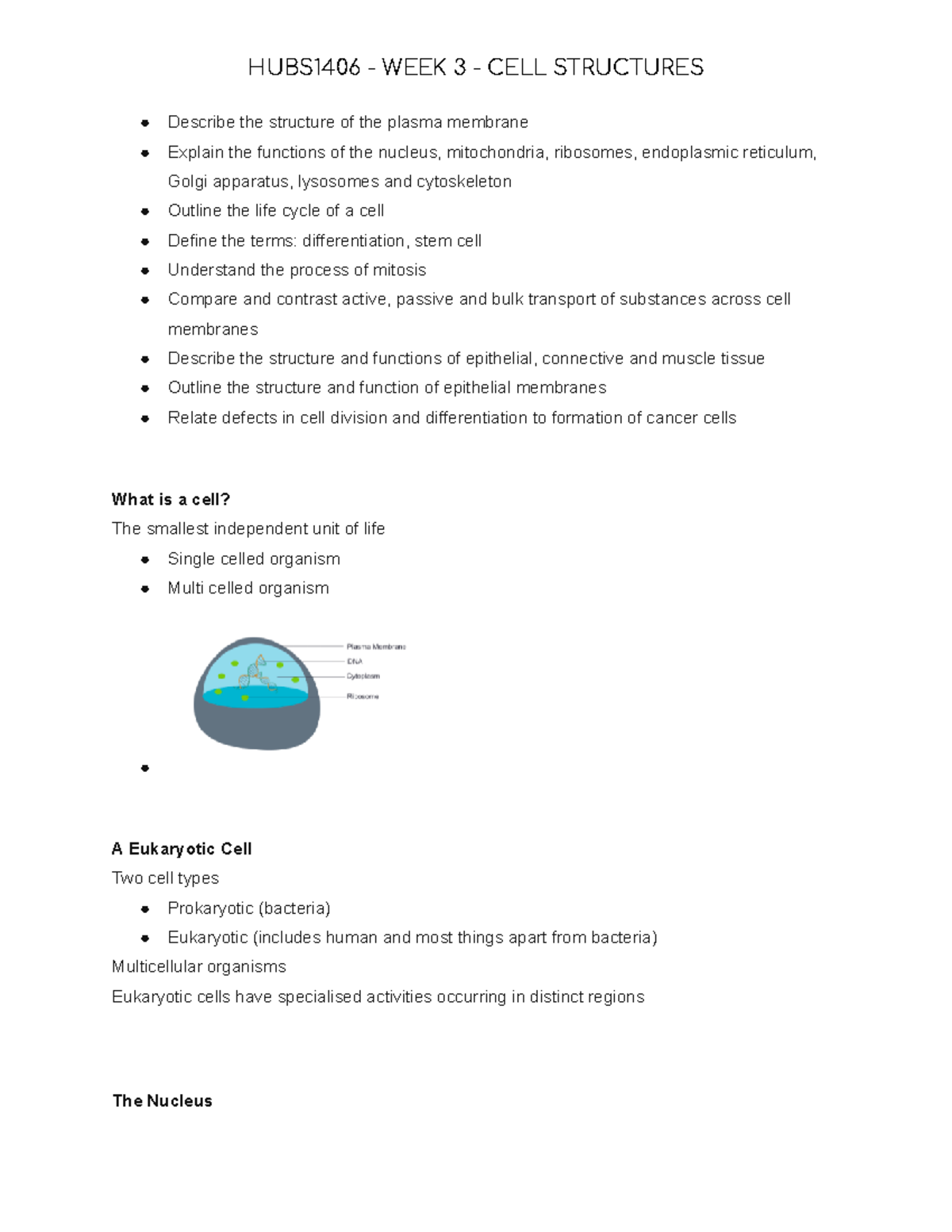 Cell Structures - Describe the structure of the plasma membrane Explain ...