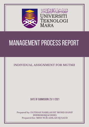 individual assignment mgt 162
