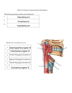BIOL 212 Week 9 Worksheet - BIOL 212 - BIOL 212 Week 9 Worksheet ...