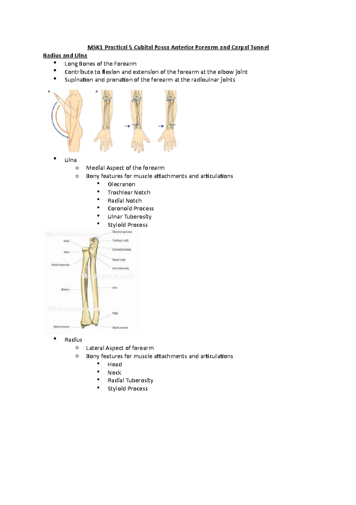 MSK1 Practical 5 Cubital Fossa Anterior Forearm and Carpal Tunnel - Studocu