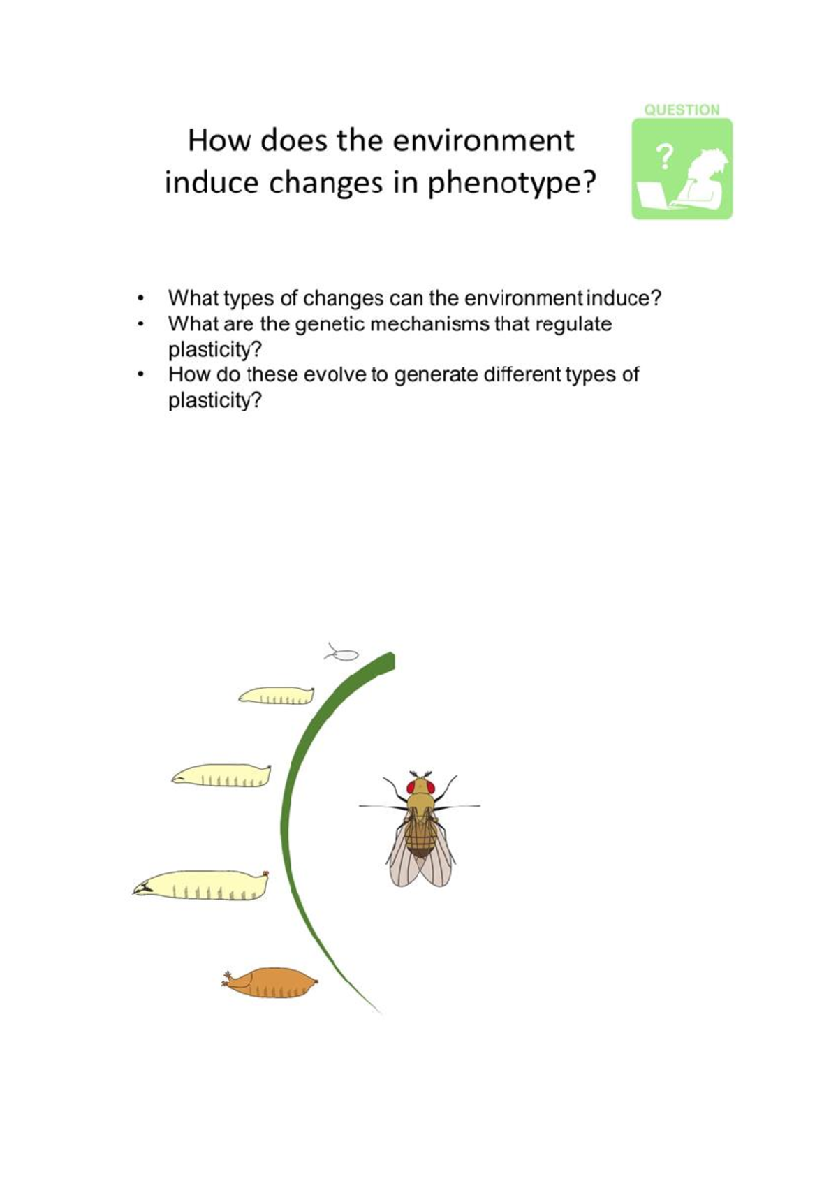 Week 8 Lecture - 'Gene X Environment Interactions' - Not Always The ...