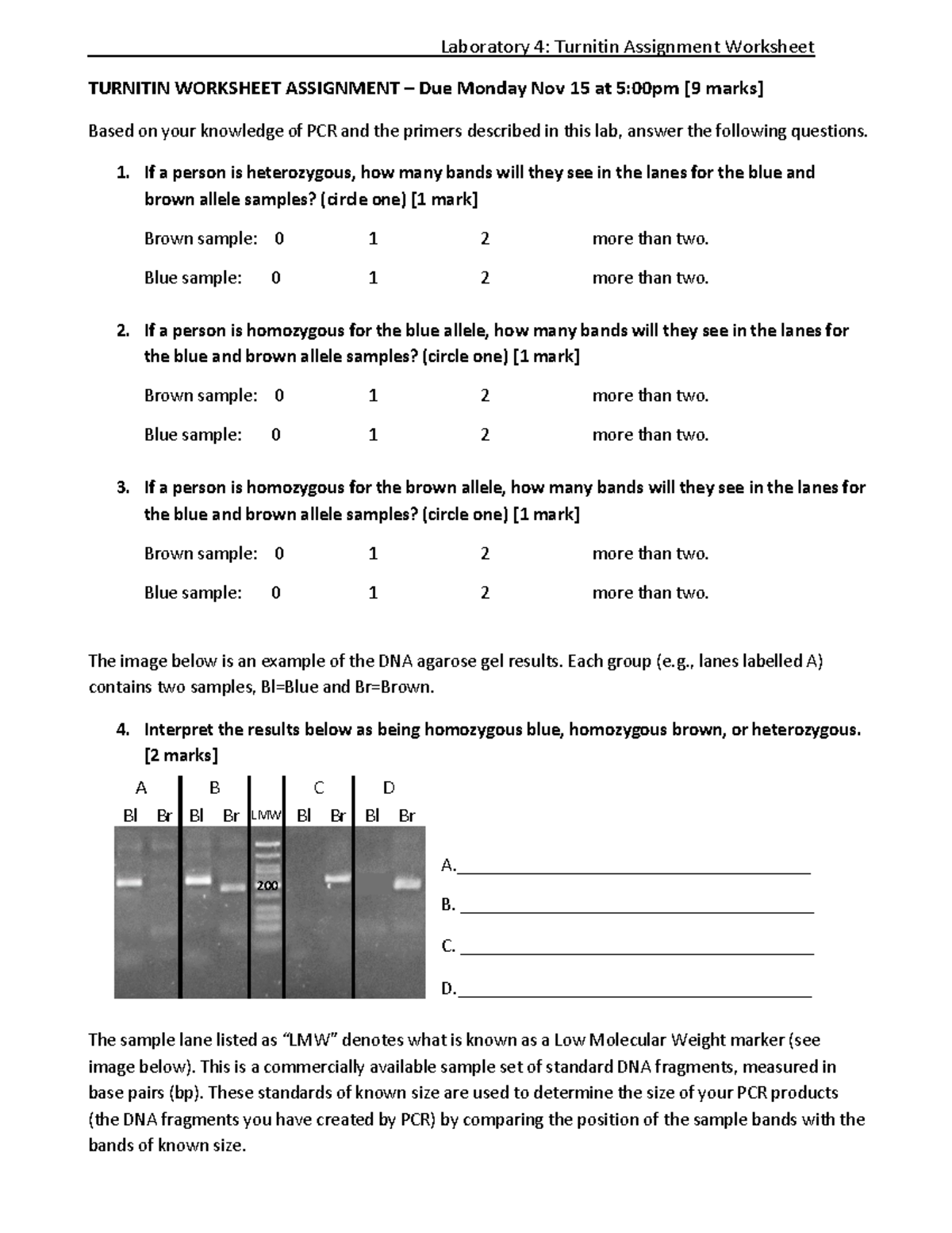 BIOL 1000 lab 4 worksheet CC-3 - Laboratory 4: Turnitin Assignment ...