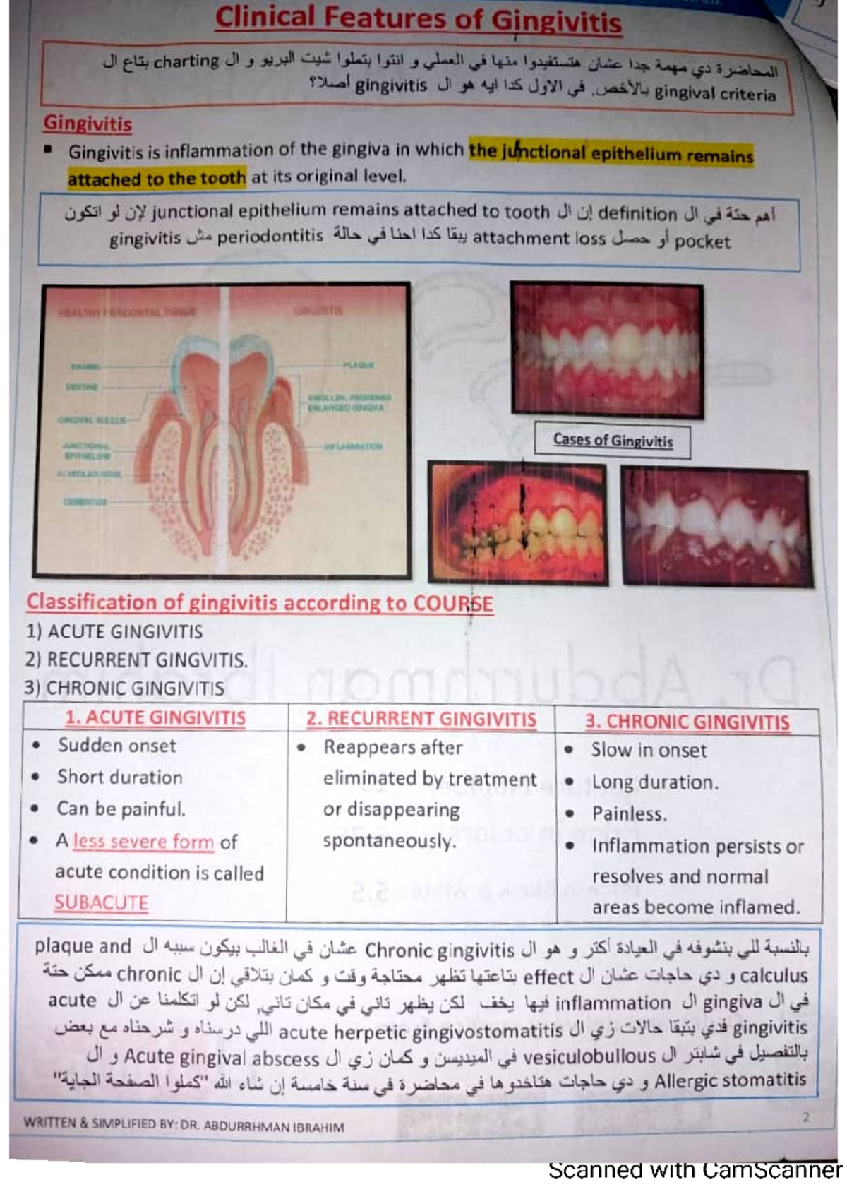 Lec 13 perio - dental anatomy - Studocu