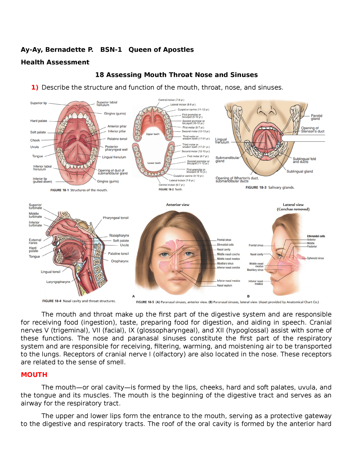 how-are-sinus-infections-related-to-toothache-dental-implants