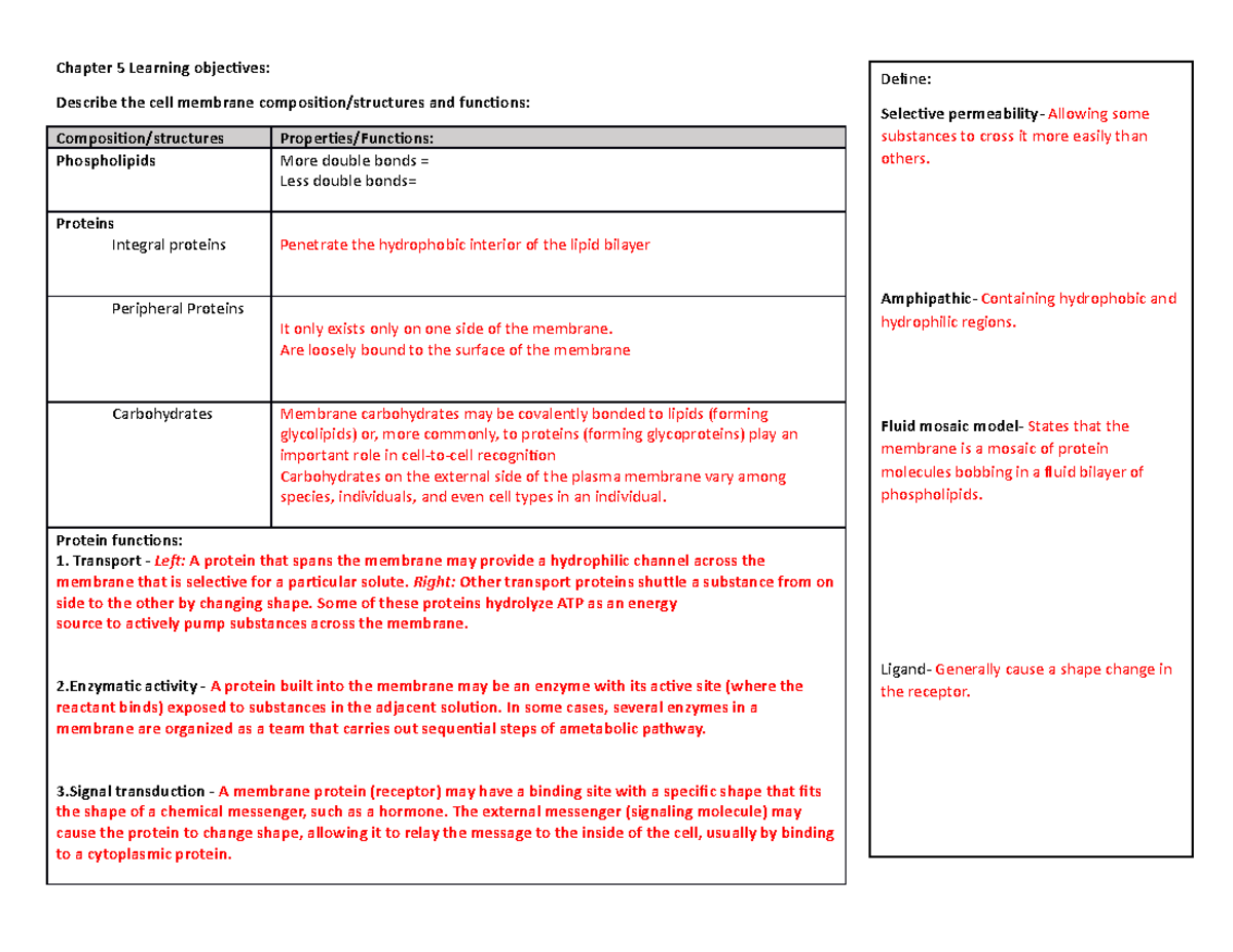 1406 Chapter 5 SLO - Chapter 5 Learning objectives: Describe the cell ...