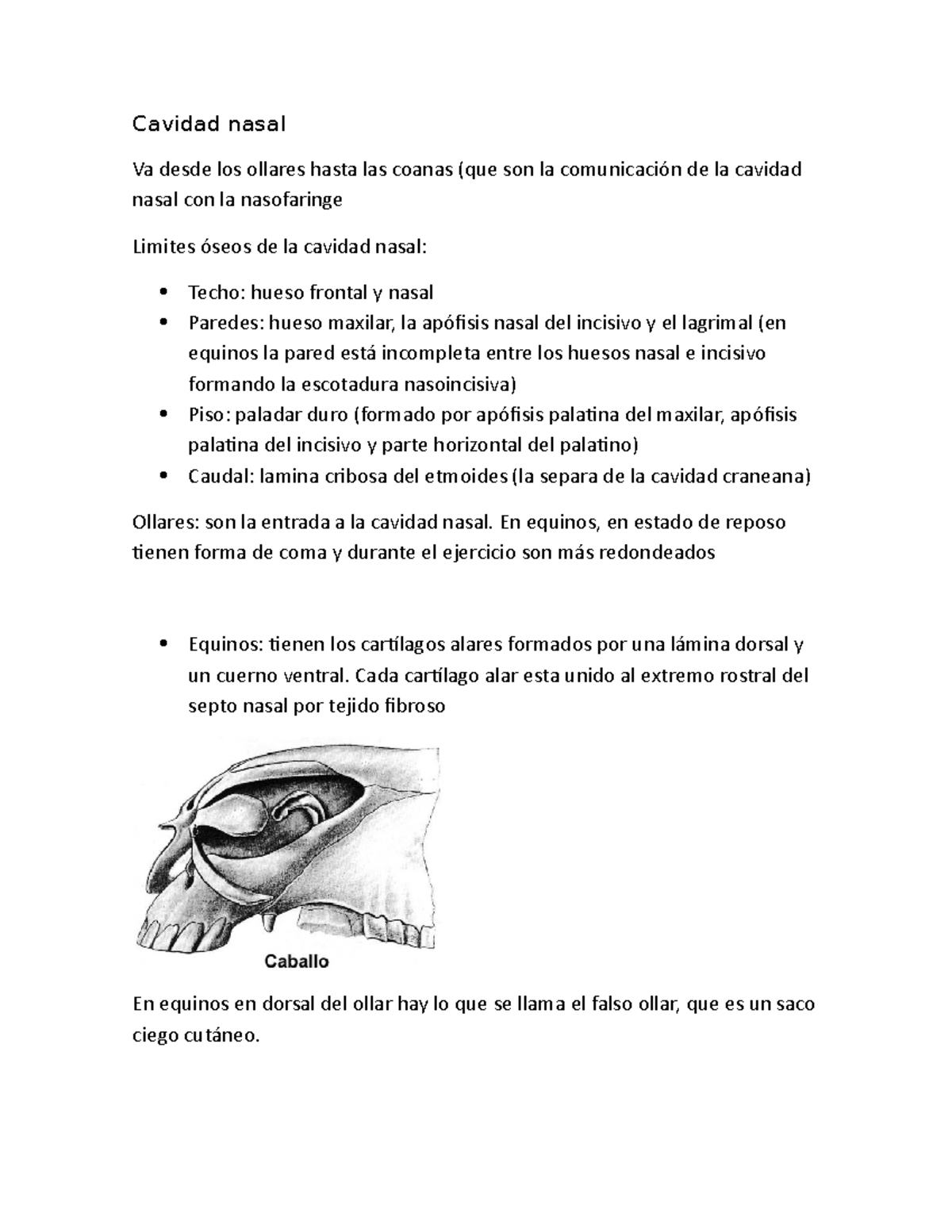 Cavidacd nasal - Cavidad nasal Va desde los ollares hasta las coanas ...