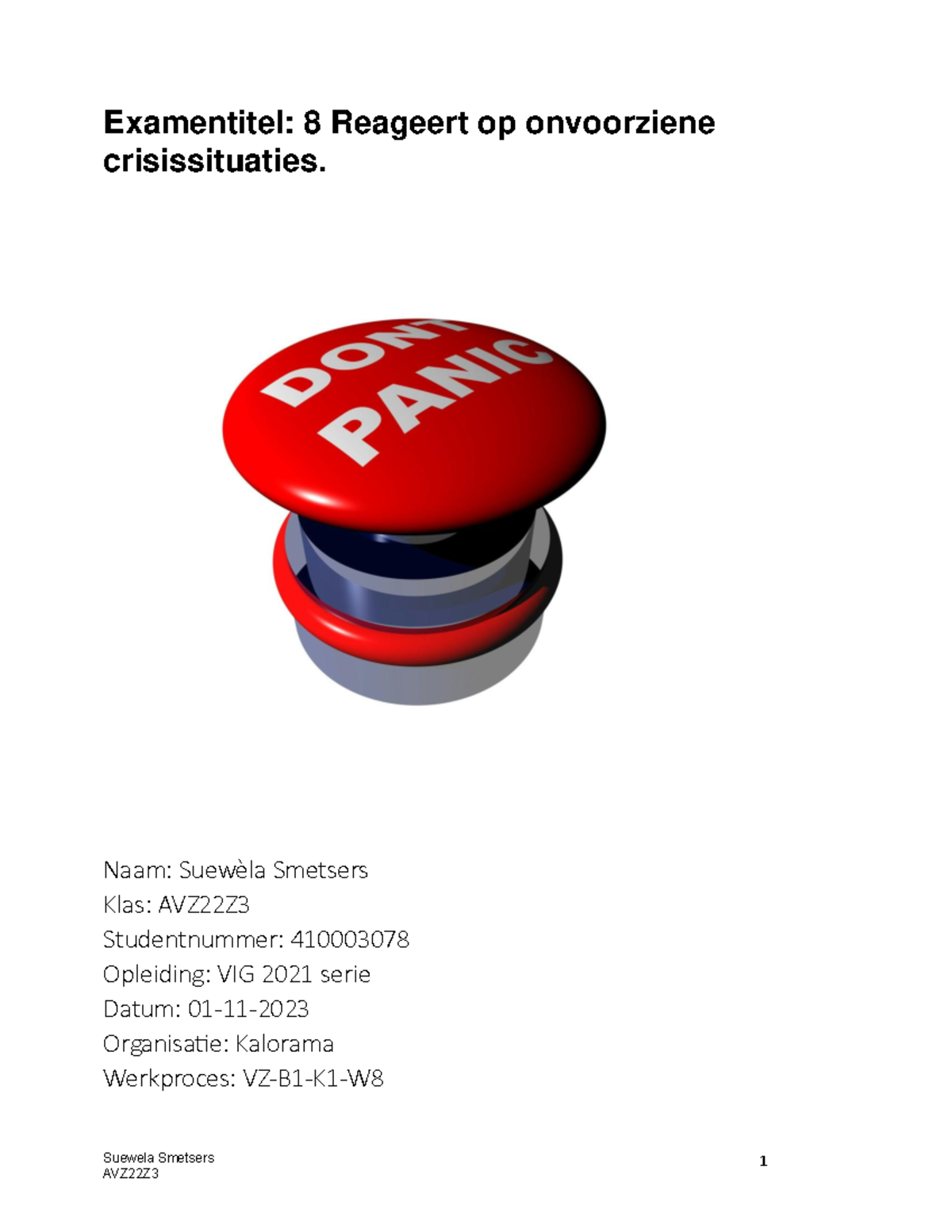 examen-8-verslag-crisis-situatie-suewela-smetsers-1-examentitel-8