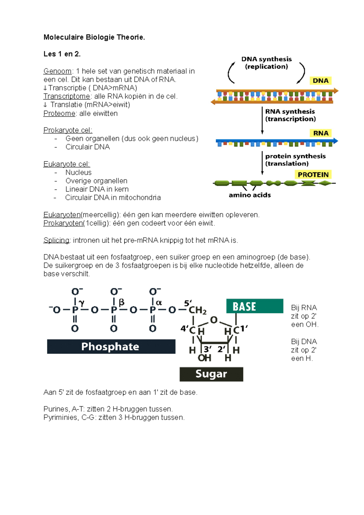 Moleculairebiologietheorie - College - Aantekeningen, Colleges 1 - 8 ...