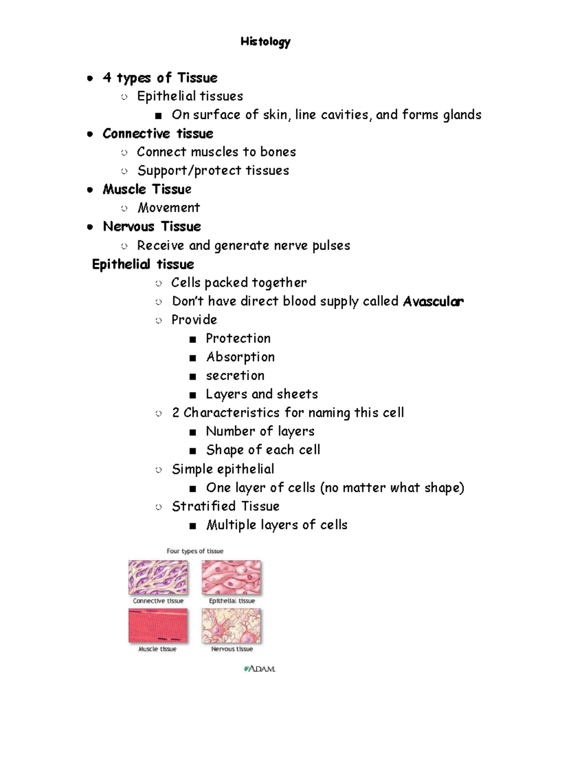 Histology Review - Histology 4 types of Tissue Epithelial tissues On ...