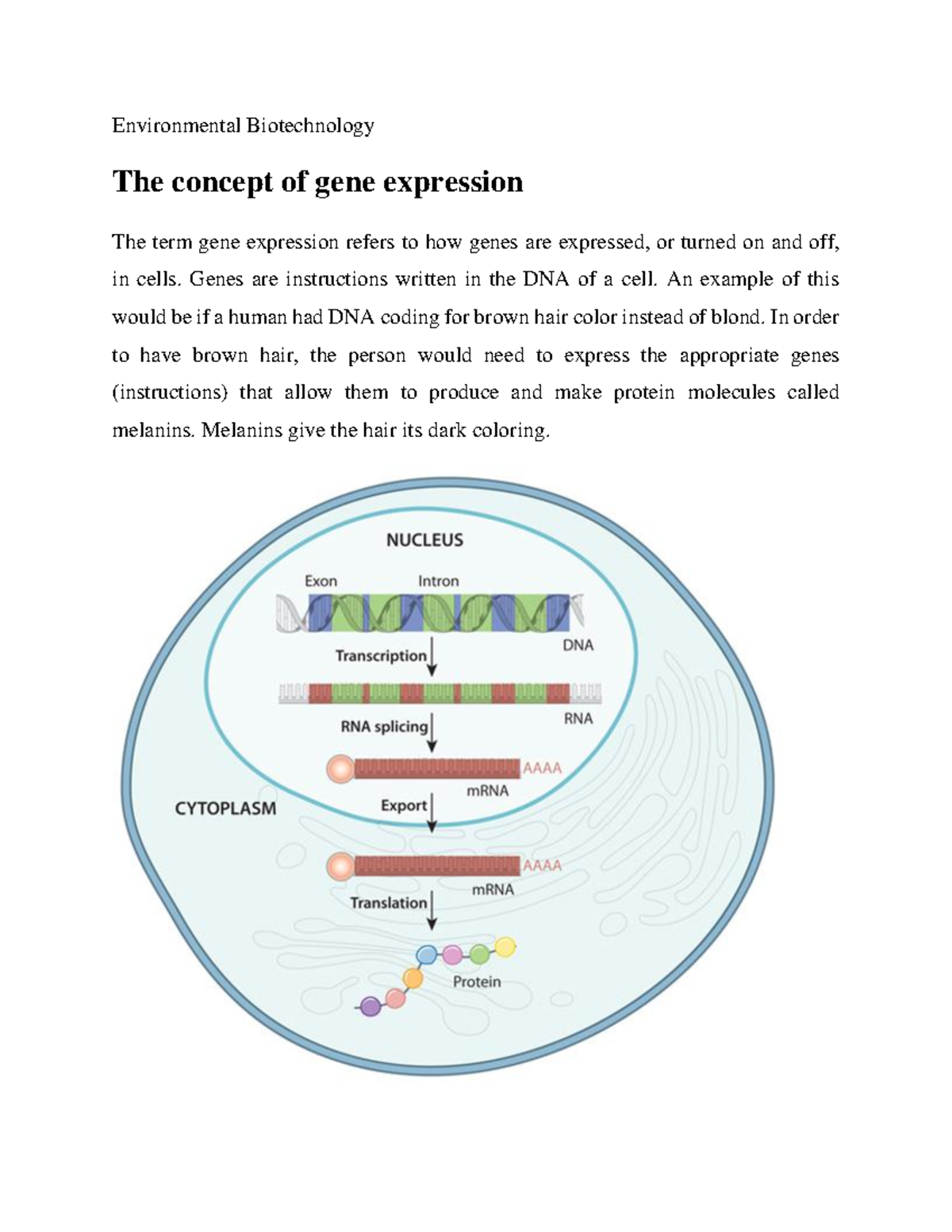 The concept of gene expression Environmental Biotechnology The